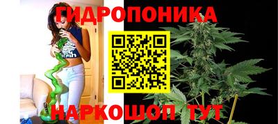 мяу мяу мука Братск